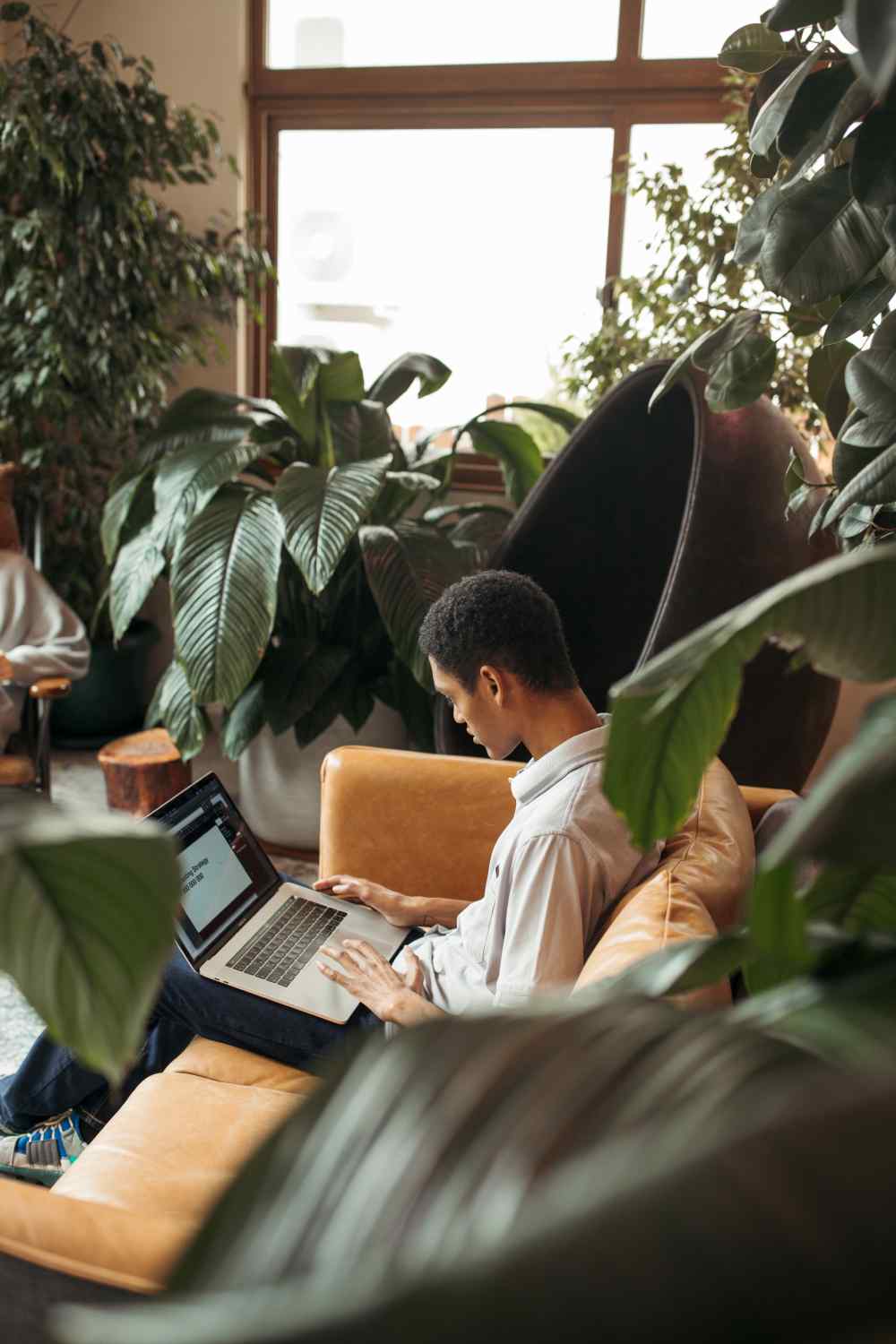 https://www.celumai.com/wp-content/uploads/2023/07/image_about_01.jpg